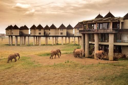 SALT LICK HOTEL